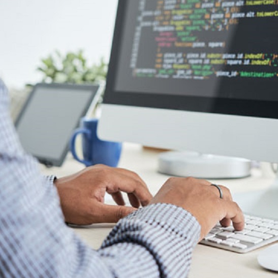 Desarrollo Web